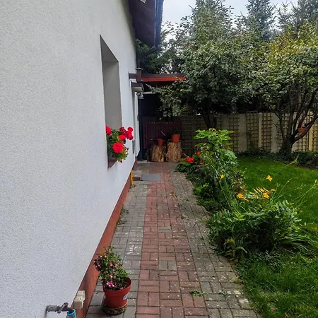 Dach Nad Glowa